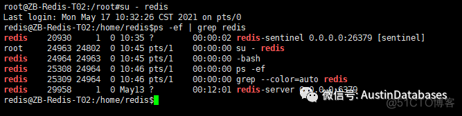 REDIS  哨兵 DOWN DOWN  灾难恢复方法记录_2d_03