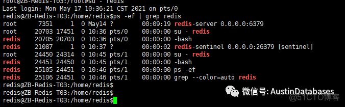 REDIS  哨兵 DOWN DOWN  灾难恢复方法记录_d3_04