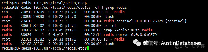 REDIS  哨兵 DOWN DOWN  灾难恢复方法记录_2d_05