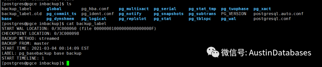 POSTGRESQL V12  PG_BASEBACKUP 进行PITR恢数据与PITR 原理_数据库_03