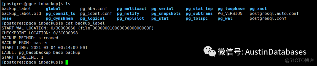 POSTGRESQL V12  PG_BASEBACKUP 进行PITR恢数据与PITR 原理_postgresql_03