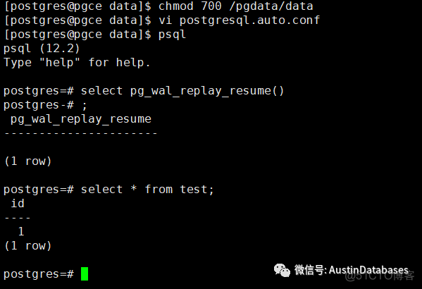 POSTGRESQL V12  PG_BASEBACKUP 进行PITR恢数据与PITR 原理_数据库_10