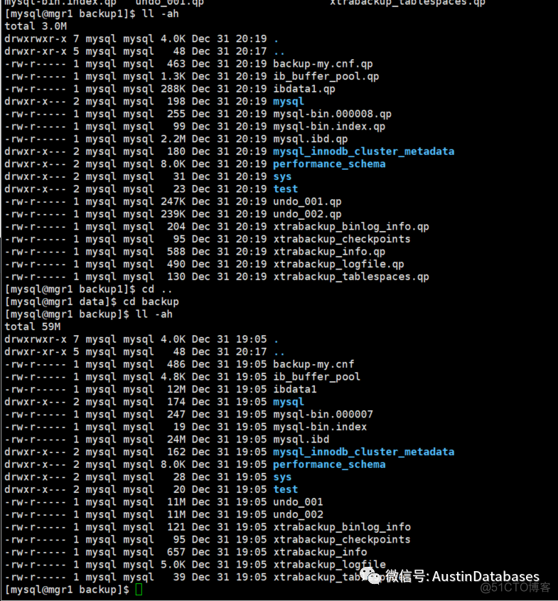 MYSQL 8.0 XTRABACKUP 备份压缩与部分表恢复_解压缩_02