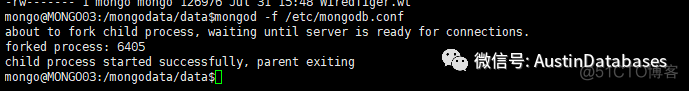 MONGODB 复制集建立及节点的添加_数据库_08