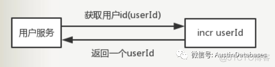 数据库十二星座 之 射手座的闪电_redis_10