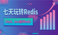 七天玩转Redis | Day5、Java操作Redis