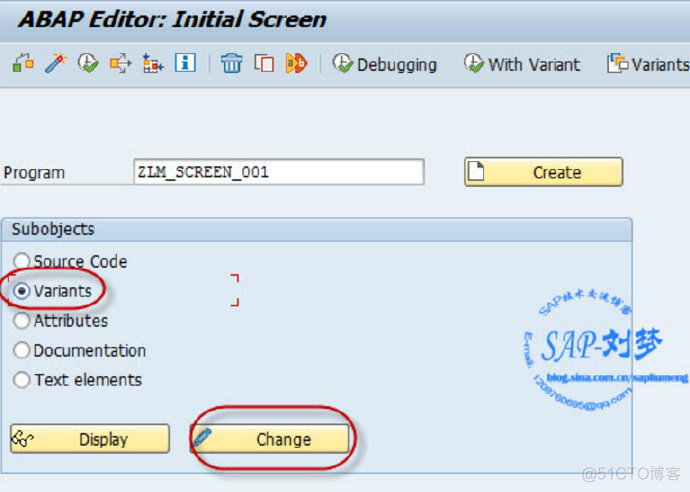 VariantsTransport_SAP刘梦_新浪博客_debug