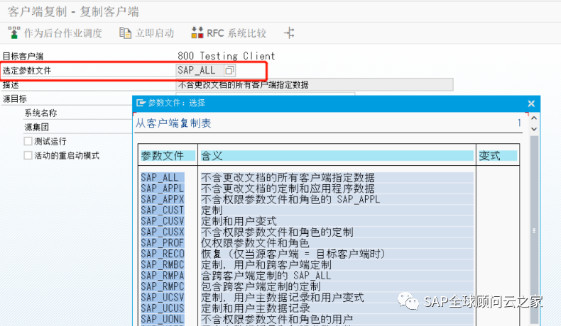 SAP S/4 Client Copy 数据同步_参数文件_06