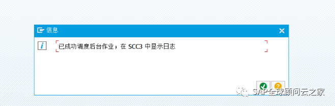 SAP S/4 Client Copy 数据同步_客户端_11