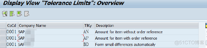 MIROInvoiceBlockSetTolerancelimitsEnhancement_SAP刘梦_新浪博客_表数据_02