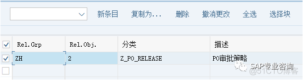 SAP 采购订单审批策略实例详解(一)_字段_06