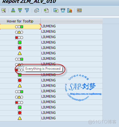 ALV <wbr>demo：cl_salv_table <wbr>(ICONs <wbr>and <wbr>Tooltips)