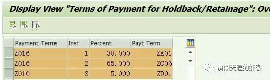 SAP MM 分期付款场景下的付款方式_主数据_13