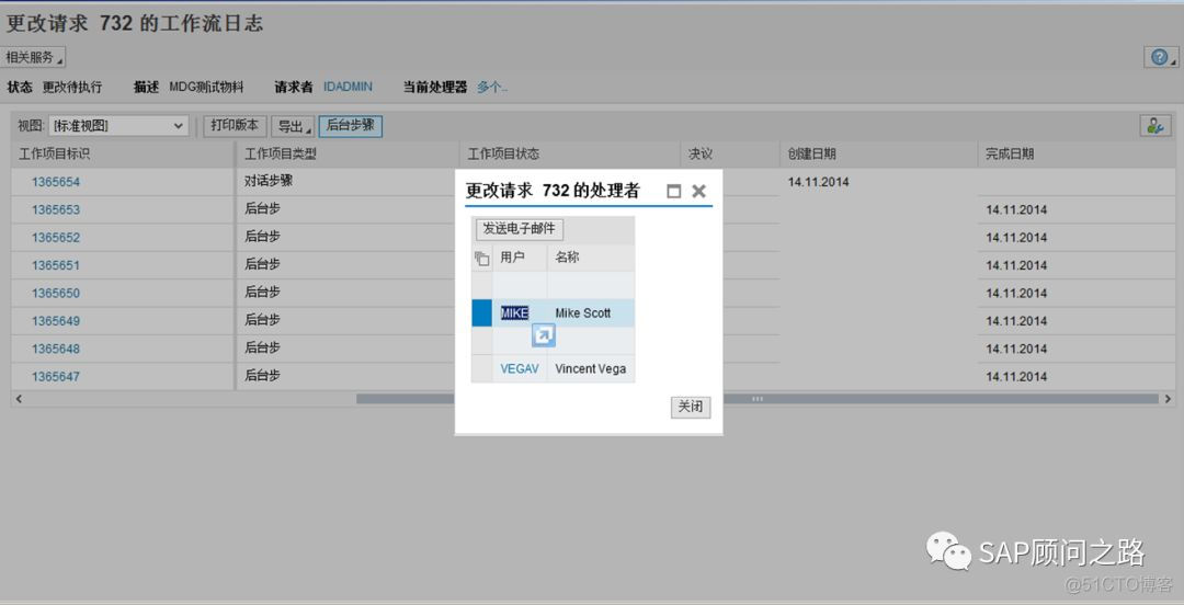 全网最稀缺 SAP MDG模块 初识_数据管理_25