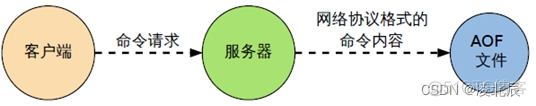 Redis从入门到入土_数据_27