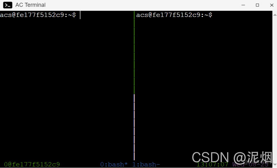 探究tmux中的＜Ctrl+b &＞ 与 ＜Ctrl+b x＞的区别_linux_04