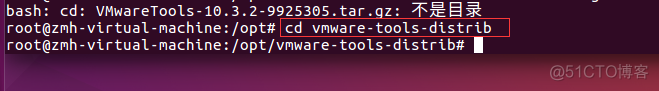VMware Tools安装_ubuntu_10
