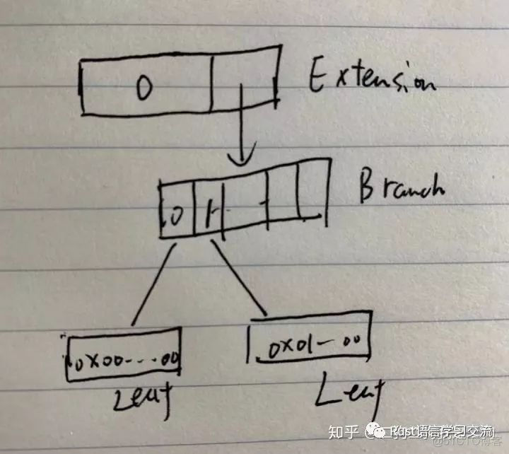 Sparse Merkle Tree解析_版本号_15