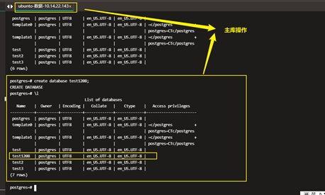 Postgresql12主备流复制操作过程以及原理【pg_basebackup】_服务器_09