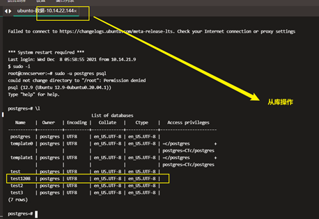 Postgresql12主备流复制操作过程以及原理【pg_basebackup】_服务器_10