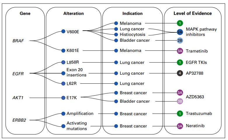 OncoKB:肿瘤药物靶点相关基因组变异数据库_数据库