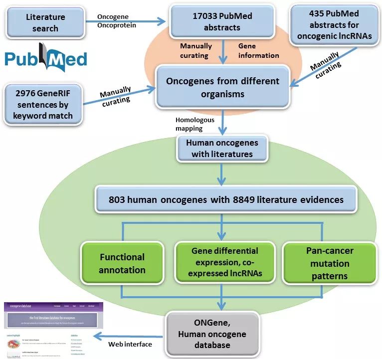 ONGene:基于文献检索的肿瘤基因数据库_html
