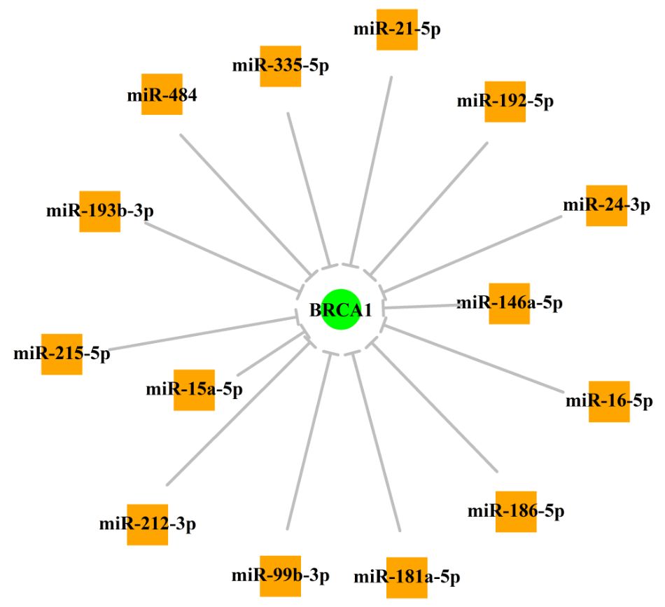 TSGene:肿瘤抑癌基因数据库_官网_05