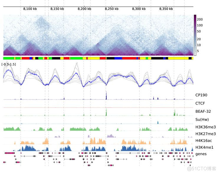 使用pyGenomeTracks可视化hi-c数据_命令行工具