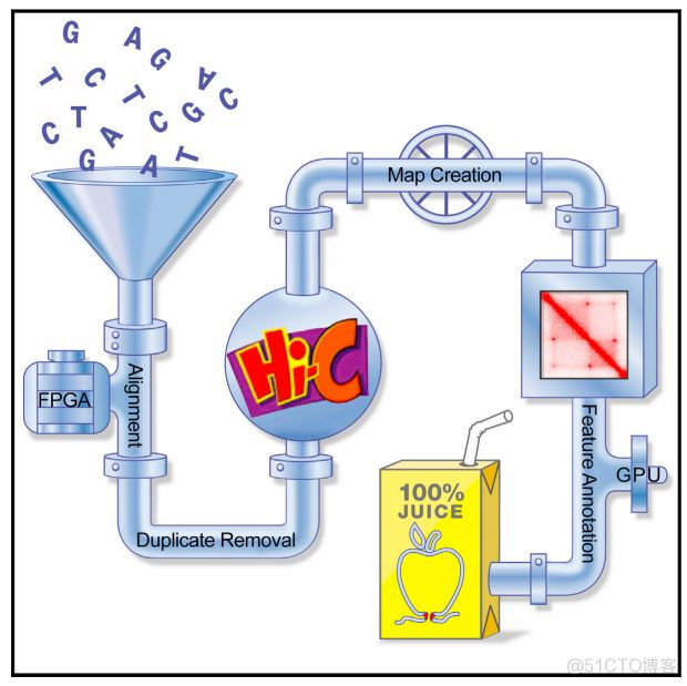 Juicer:Hi-C数据处理分析的利器_github