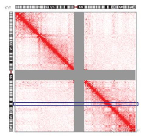 解密Hi-C数据分析中的分辨率_生物信息学_04