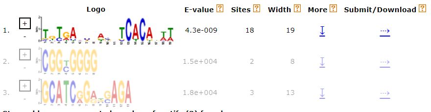MEME:motif分析的综合性工具_应用场景