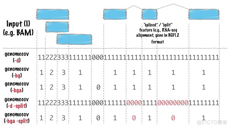 depth, bedgraph, bigwig之间的联系与区别_官网_02