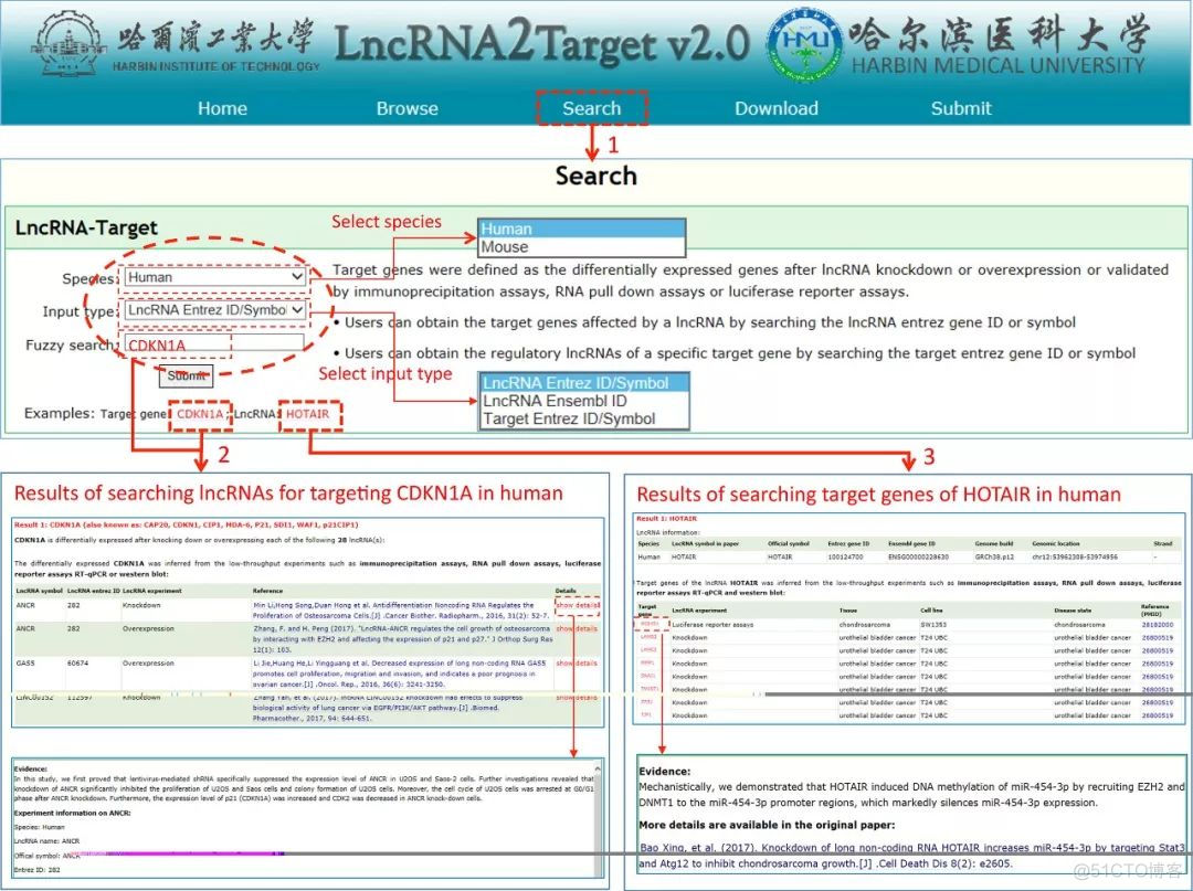 LncRNA2Target:lncRNA靶基因数据库_新版本_02