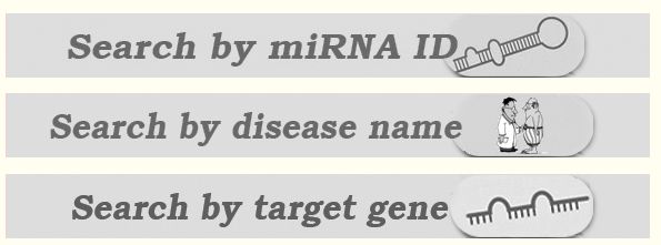 mir2disease:miRNA相关疾病数据库_2d