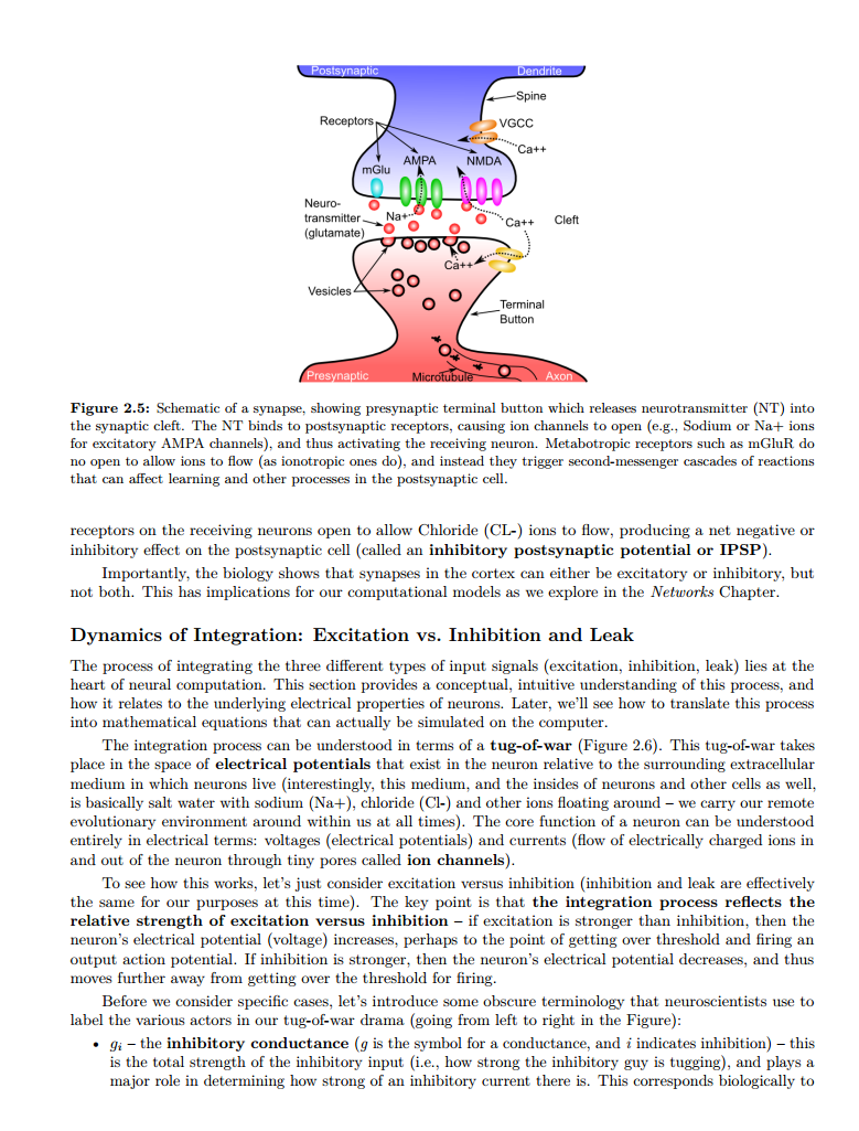 神经网络基础教材-《计算认知神经科学介绍》免费pdf分享_深度学习_07