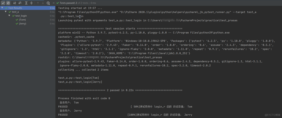 pytest实现用例参数化(@pytest.mark.parametrize)_测试用例_06