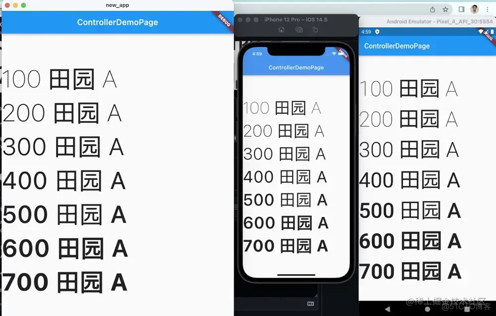 Flutter 小技巧之玩转字体渲染和问题修复_ios_16