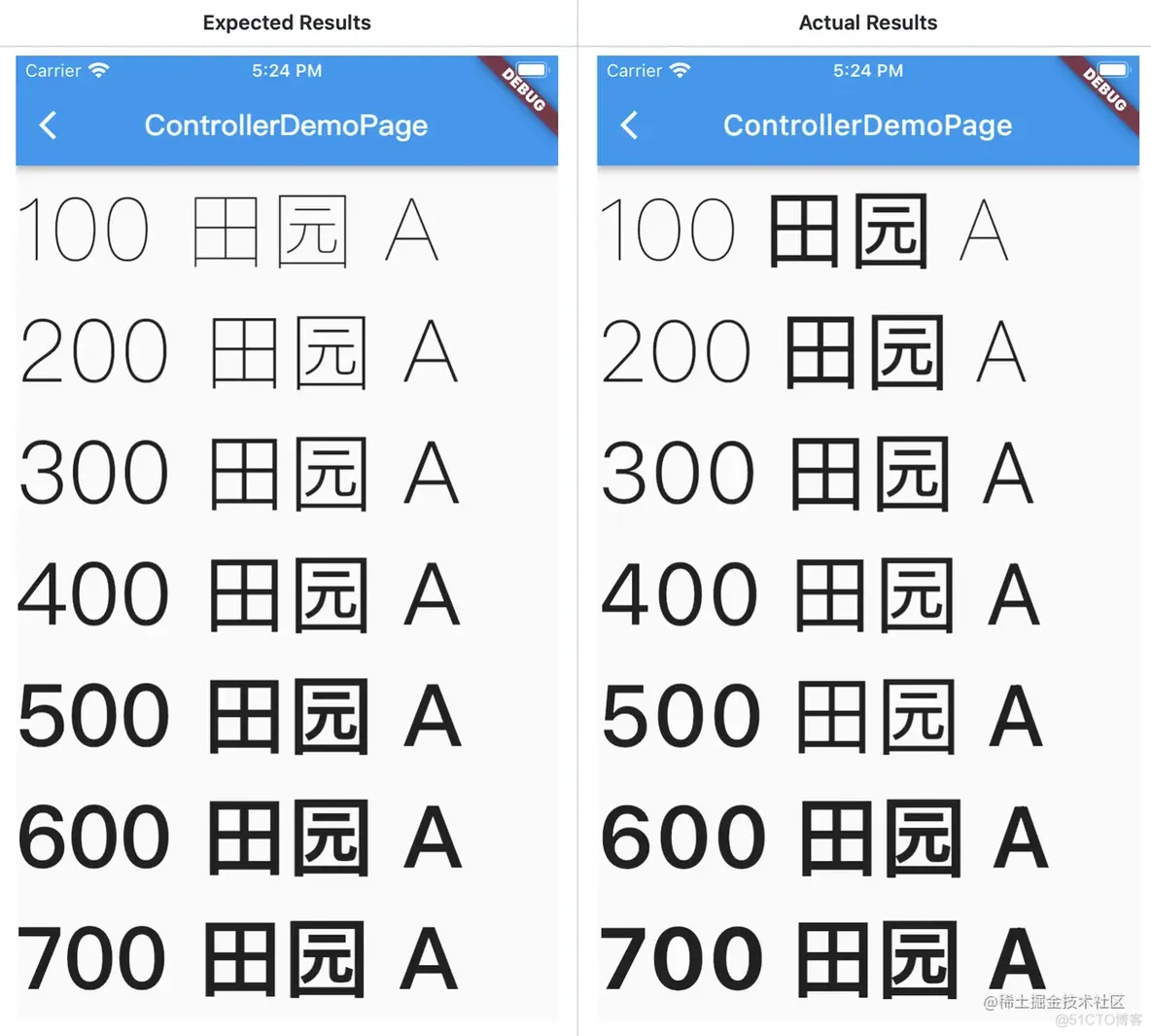 Flutter 小技巧之玩转字体渲染和问题修复_ios_17