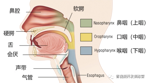 声音是什么？_深度学习_03