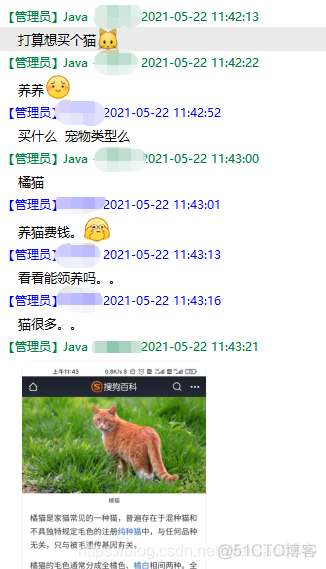 大家好，我叫小K，初来乍到 请多多关照~_小K日常