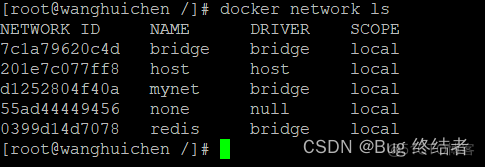 Docker实战 -- 部署Redis集群与部署微服务项目_docker_03