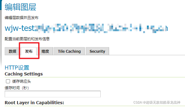 # geoserve 发布 shp 图层_git_15