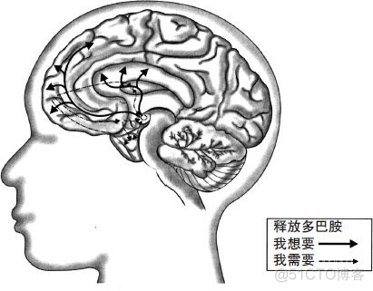 Datawhale读书会“共读”第一期《自控力》_自控力_07