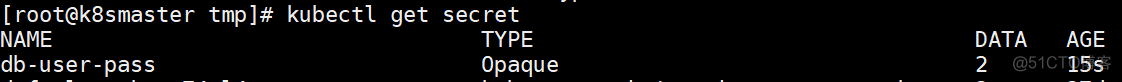 K8S之secret_数据