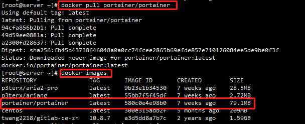 手把手教你 安装Dokcer图形化管理工具Portainer_系统使用