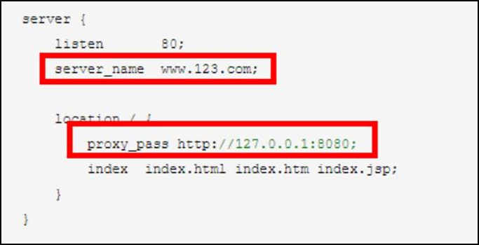 Nginx专题(三)-Nginx配置实例-反向代理_反向代理_03