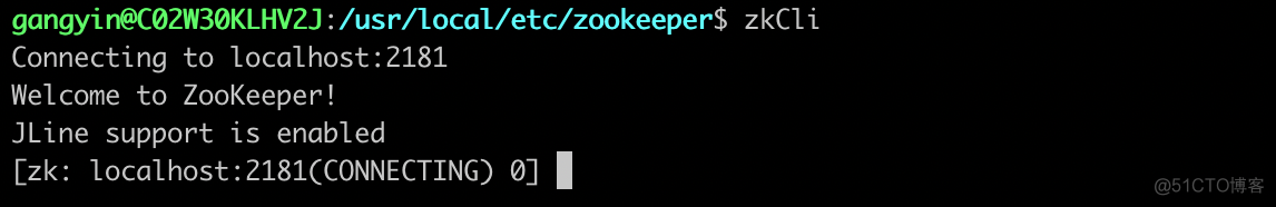 ZooKeeper学习 一:安装_配置文件_08