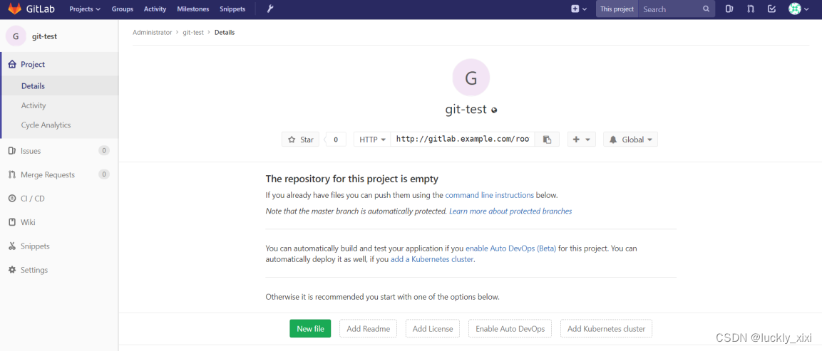 GitLab搭建以及IDEA集成GitLab_服务器_13