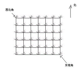 摘花生（DP）_动态规划