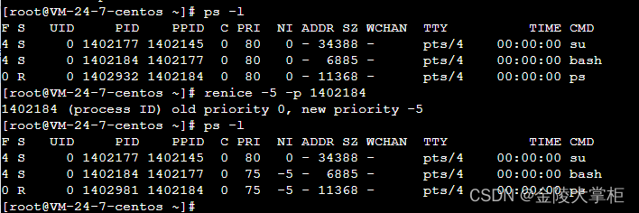 linux的nice 命令和renice命令_PRI_02